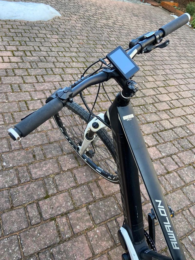 LEADER FOX AWALON 2019, MĚNĚNÁ BATERIE