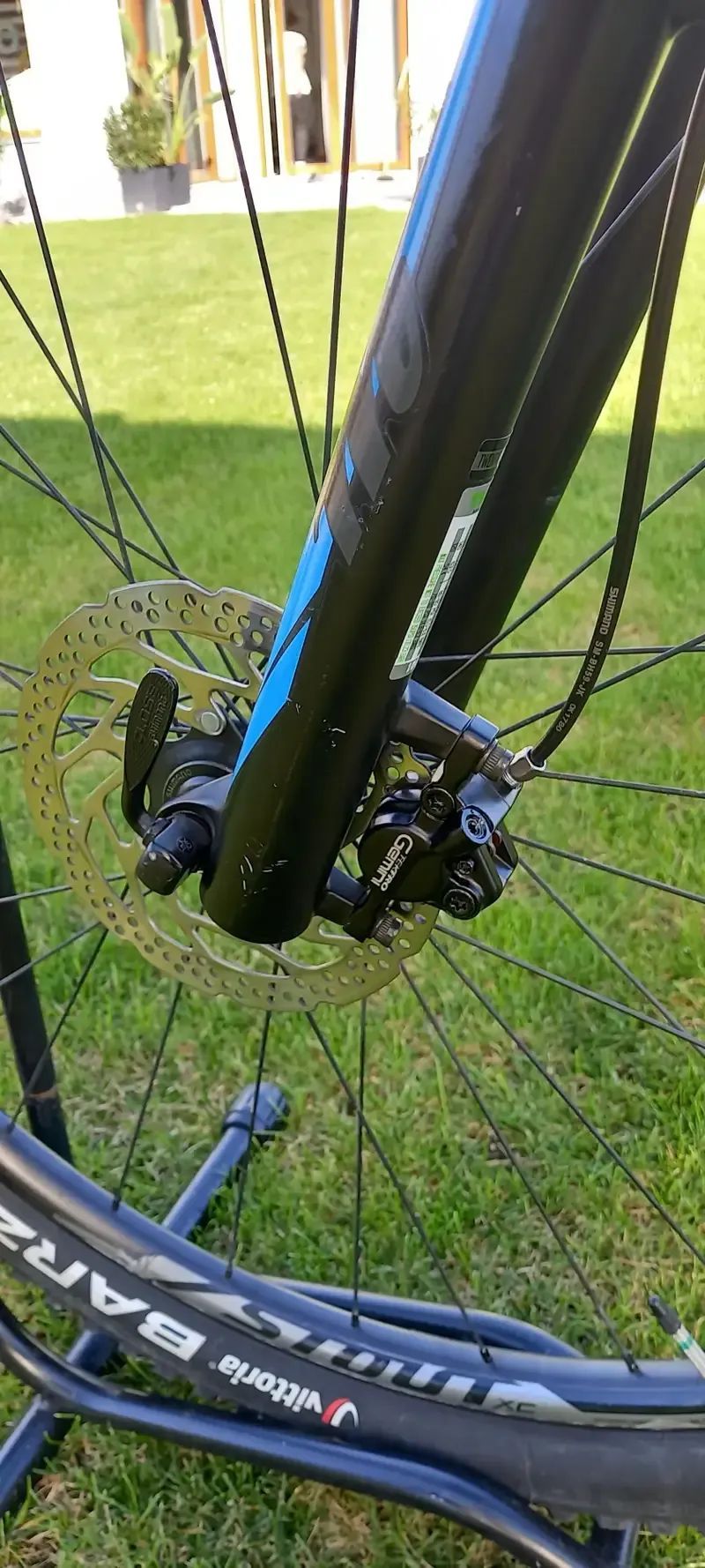 Specialized rockhopper expert