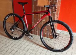 Specialized Carve 29"