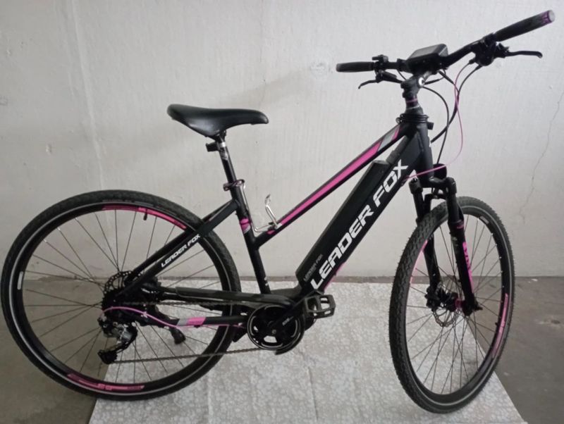 Leader Fox Exeter Lady