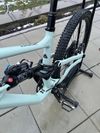 Specialized Status 160