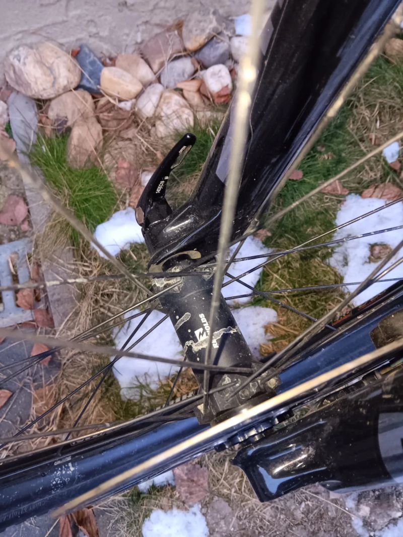 Canyon Spectral CF 9 XL