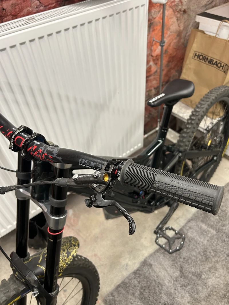 Specialized demo expert 2023