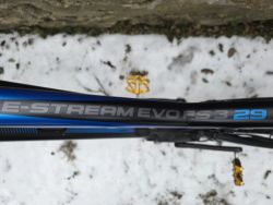 Bulls E-Stream Evo FS3 29