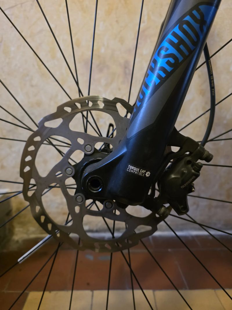 Bulls E-Stream Evo FS3 29