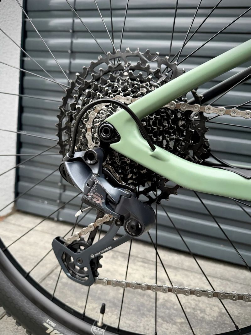 Rose Thrill Hill 1, 2024 vel. L