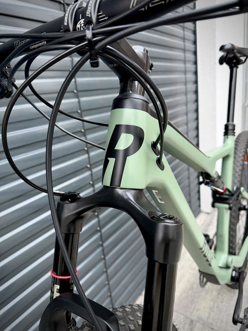 Rose Thrill Hill 1, 2024 vel. L