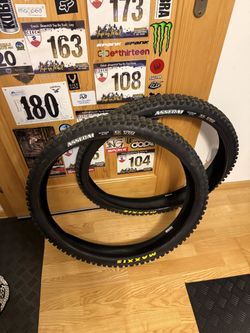 Maxxis Assegai