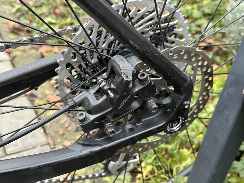 CUBE reaction race 29 