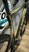PELLS Raw Carbon 2 Dijon Gold 2025 L