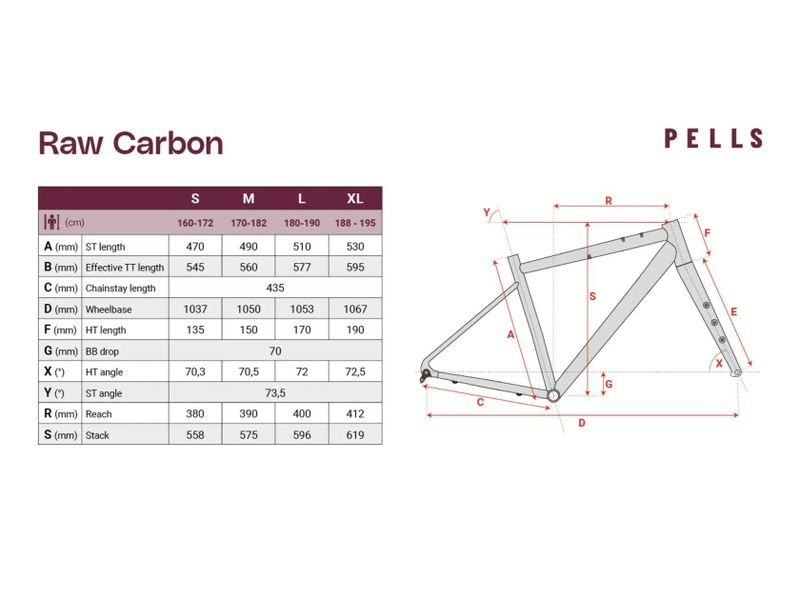 PELLS Raw Carbon 2 Dijon Gold 2025 L