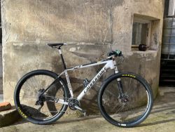 Cannondale F29