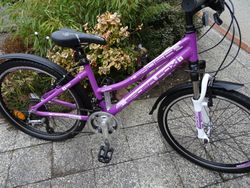 Leader Fox Spider 24" Páčkové řazení, Top Stav