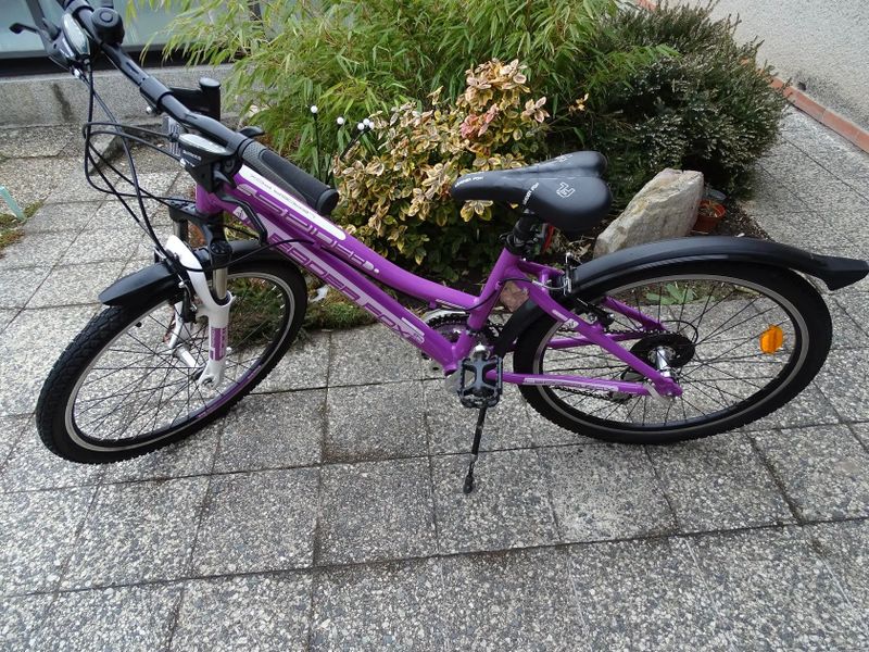 Leader Fox Spider 24" Páčkové řazení, Top Stav