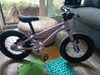 Early Rider Belter 14 Violet Haze dětské kolo 2025