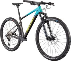 Cannondale Scalpel HT carbon 3 custom - SID 120, XT 12sp, Hollowgram carbon kola