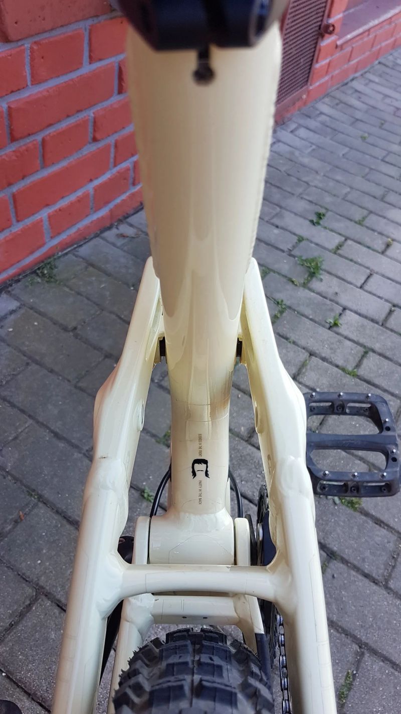 Canyon Torque 5 mullet 2025