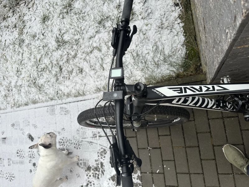 Specialized Crave comp