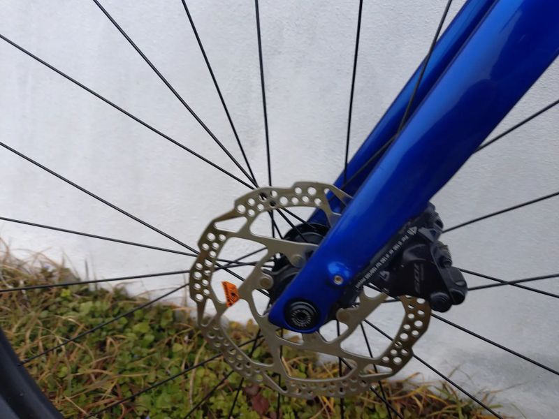 TREK DOMANE SL6 gen4