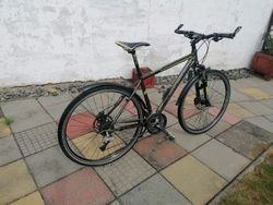 Leader Fox Šumava+ Crraline