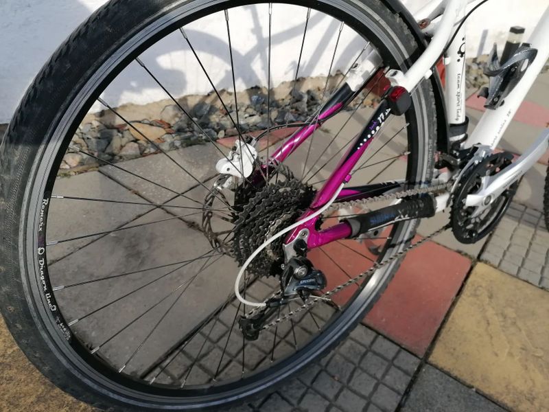 Leader Fox Šumava+ Crraline