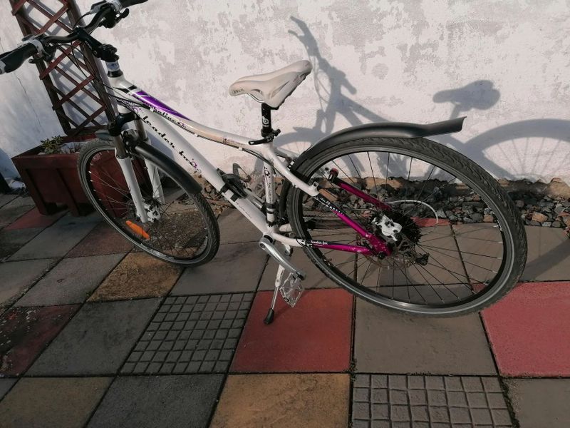 Leader Fox Šumava+ Crraline