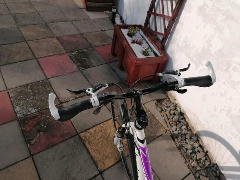 Leader Fox Šumava+ Crraline