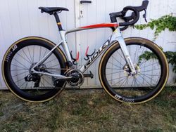 Ridley noah disc v.S