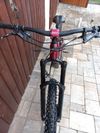 TREK REMEDY 7 NX