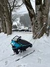 Prodám lyžařský (ski) set Thule Chariot