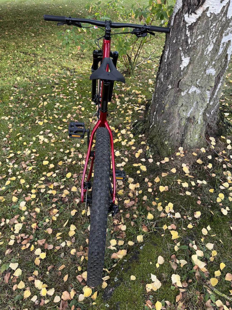 Specialized Chisel HT Comp 11,5kg