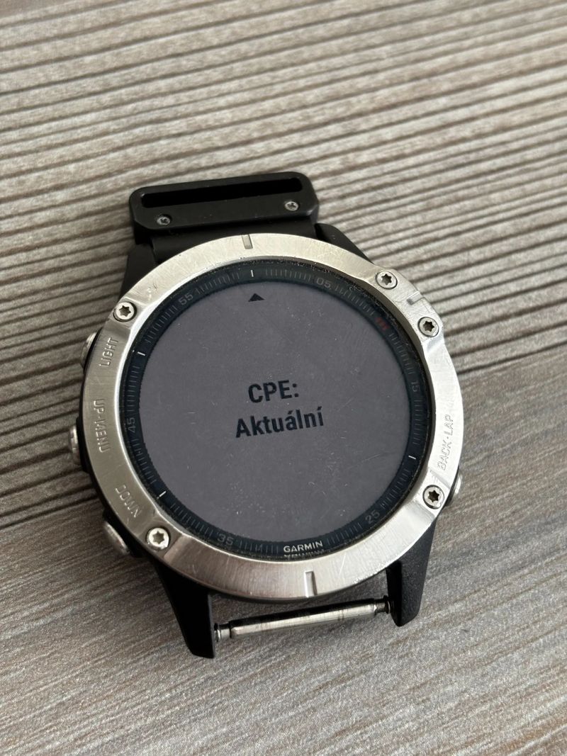 Garmin Fenix 6