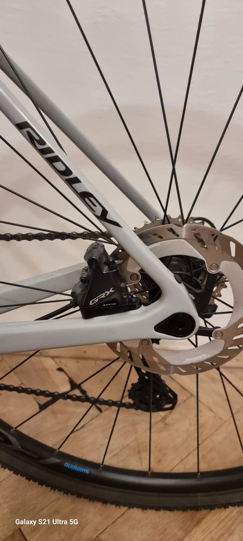 RIDLEY GRIFN - GRX800 2024 r