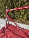 Colnago Master Equilateral