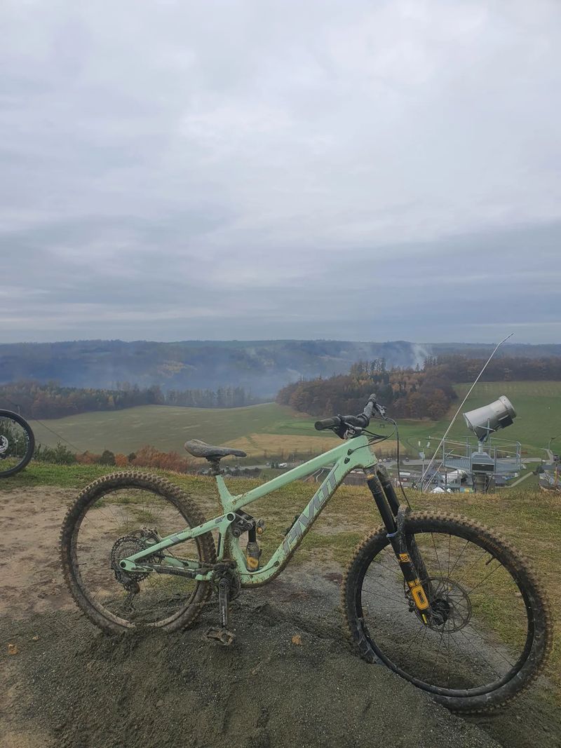 Pivot Cycles Firebird 2024