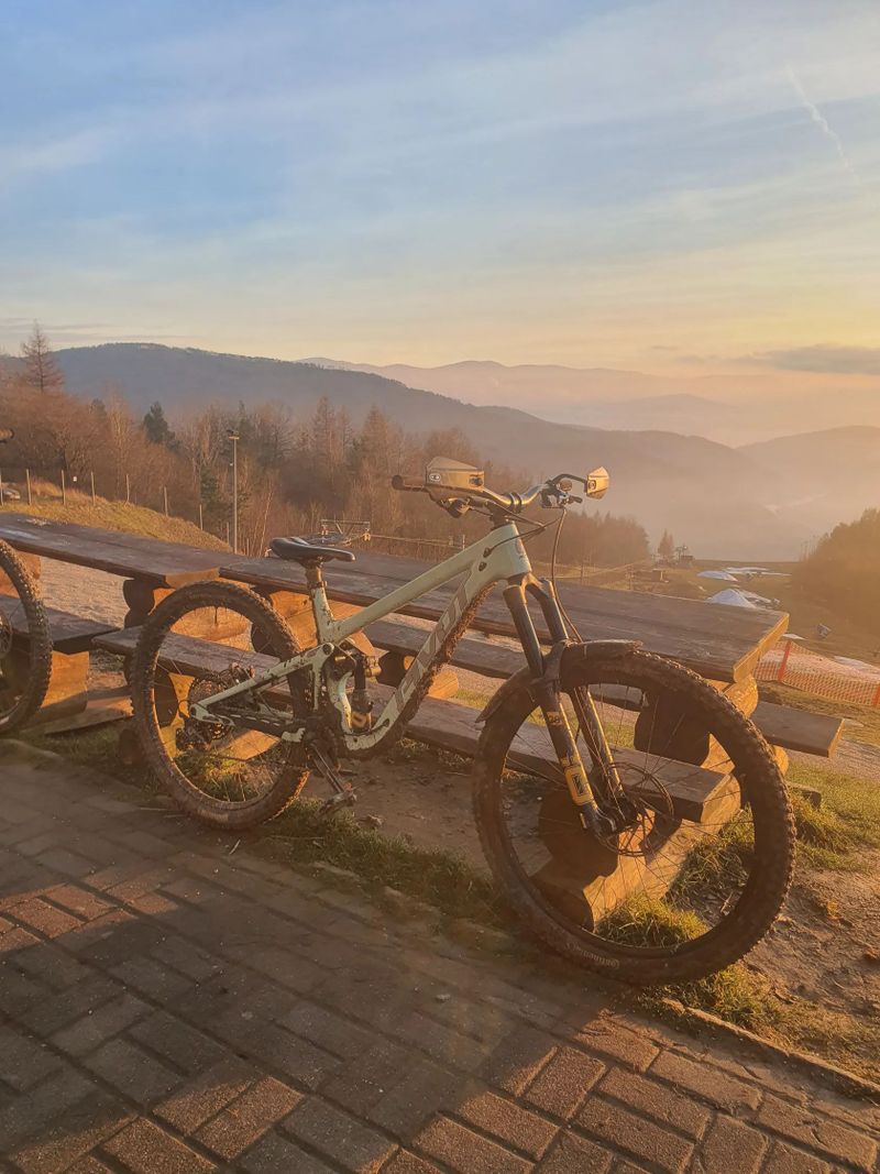 Pivot Cycles Firebird 2024