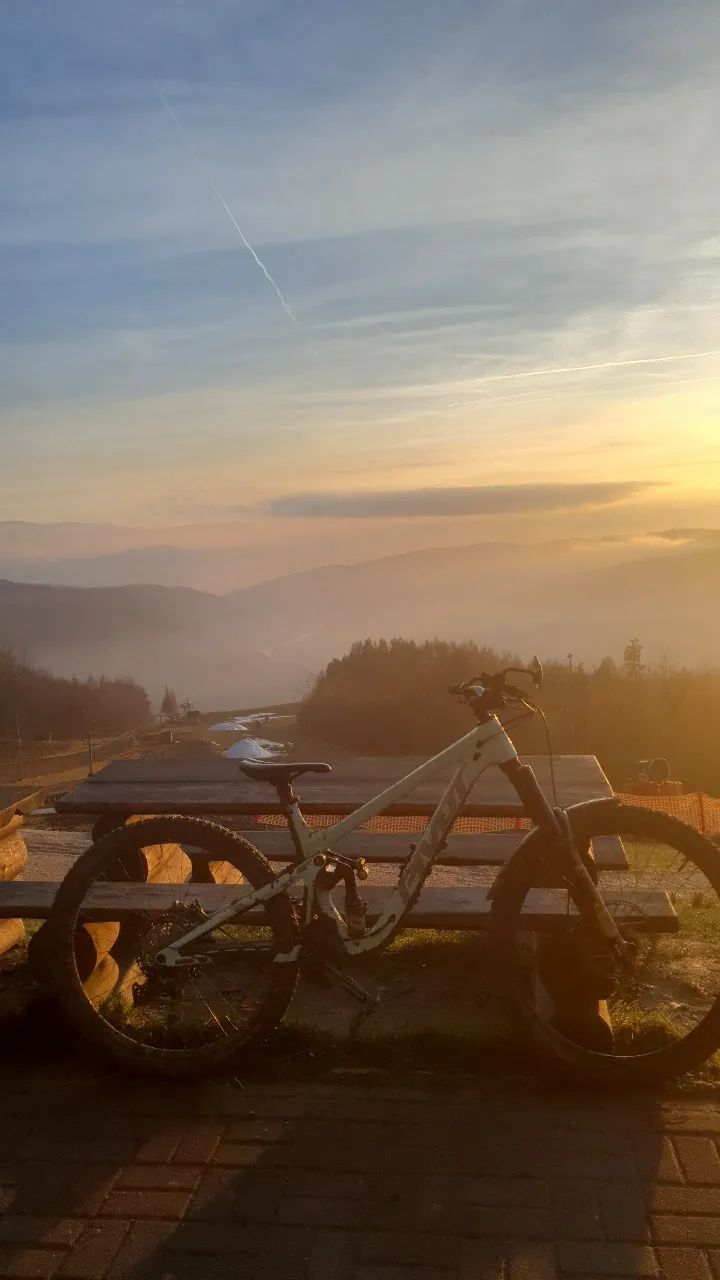 Pivot Cycles Firebird 2024