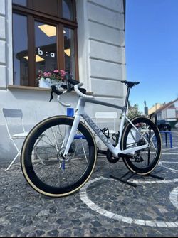 Ridley Falcn (L) di2 2025