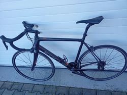 Focus Izalco Race 9.8