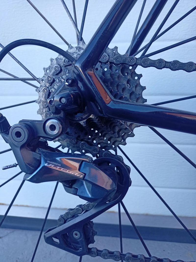 Focus Izalco Race 9.8