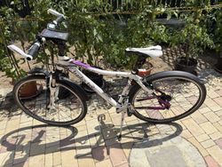 Leader Fox Corrraline 