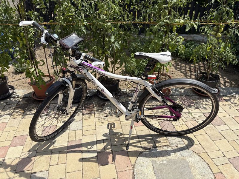 Leader Fox Corrraline 