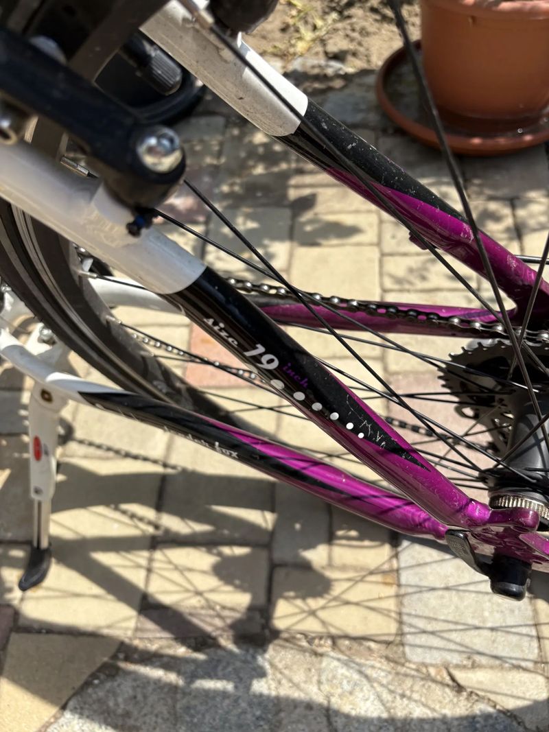 Leader Fox Corrraline 