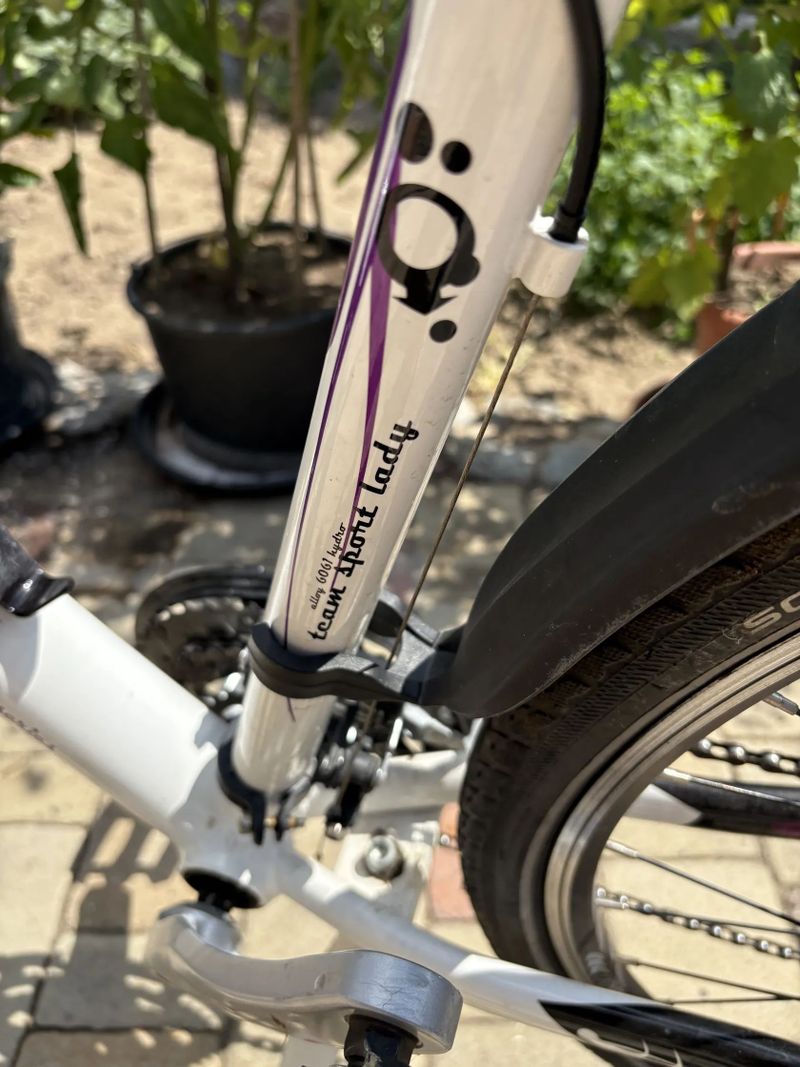 Leader Fox Corrraline 