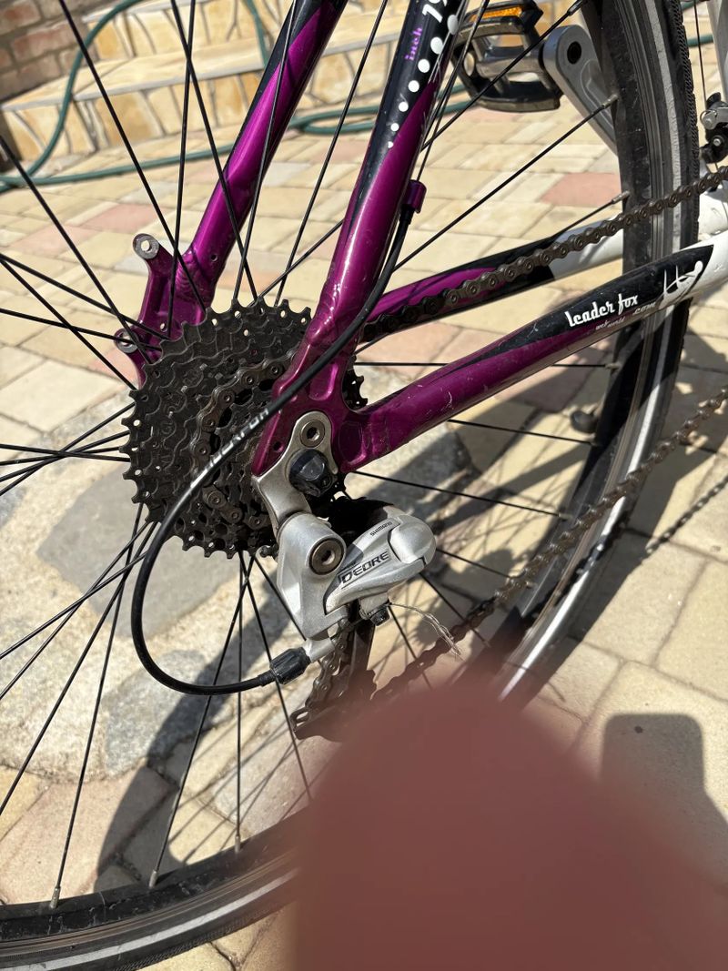 Leader Fox Corrraline 