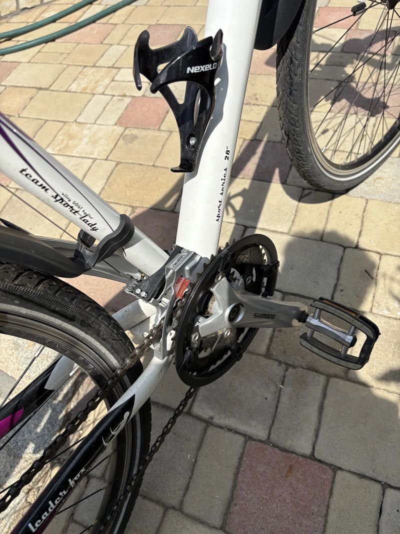 Leader Fox Corrraline 