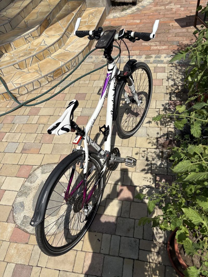 Leader Fox Corrraline 