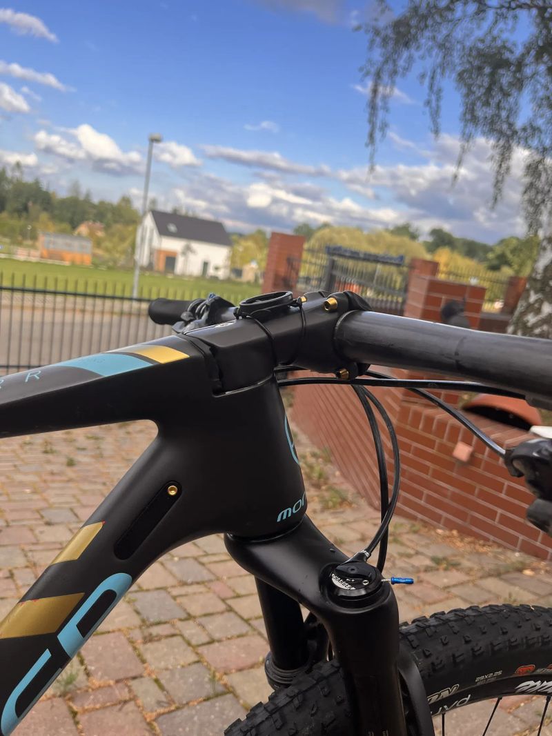 Mondraker Podium RR WC Edition