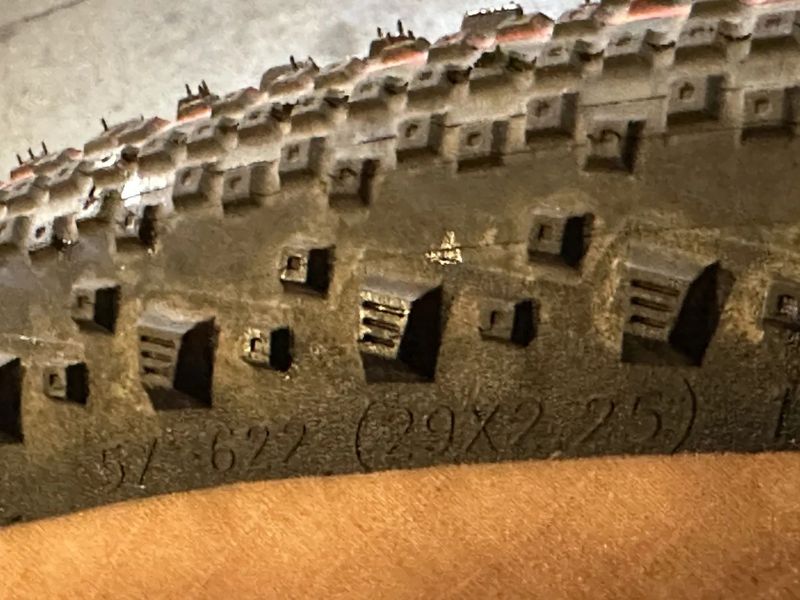 Schwalbe Thunder Burt 