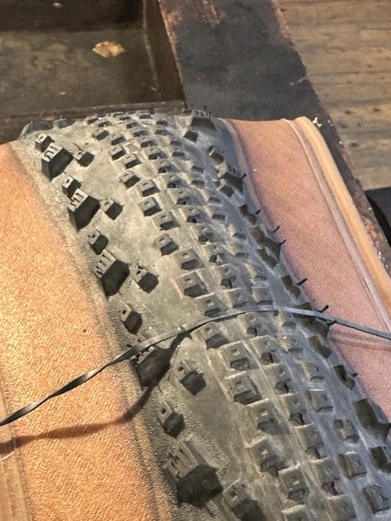 Schwalbe Thunder Burt